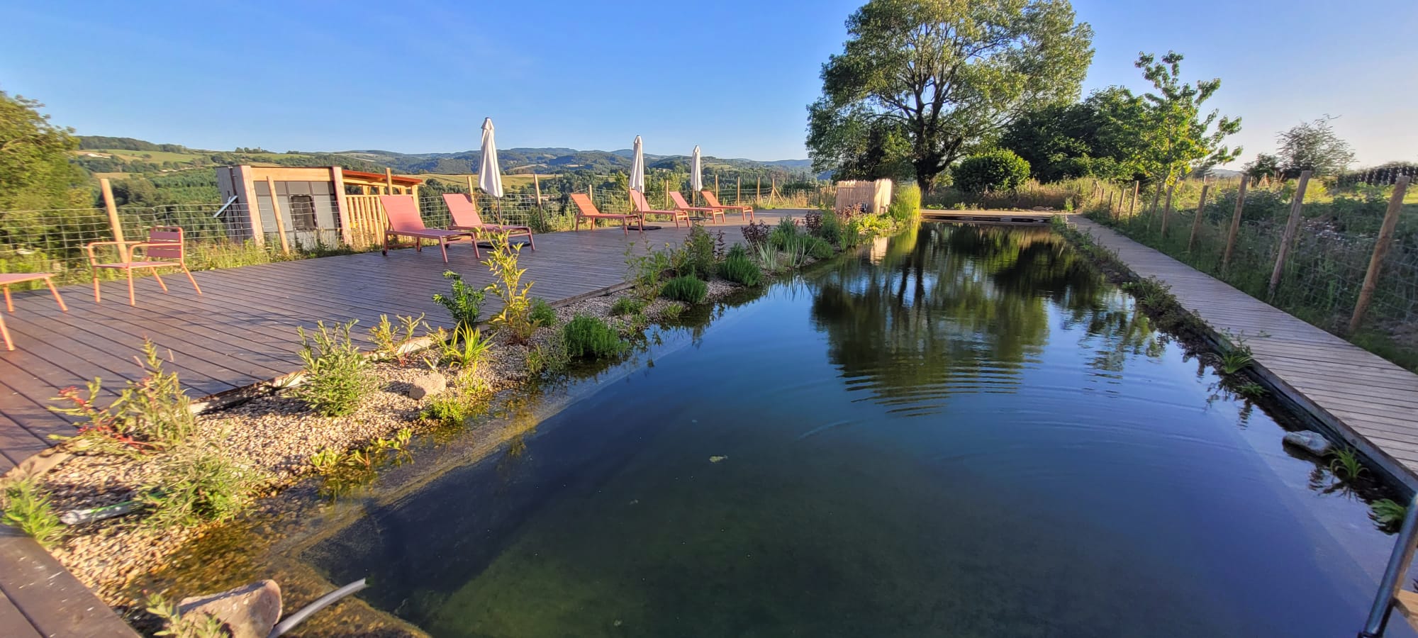 Piscine naturelle de 25 m du Domaine du COQ en PAT, bassin de nage et terrasse en bois face aux collines