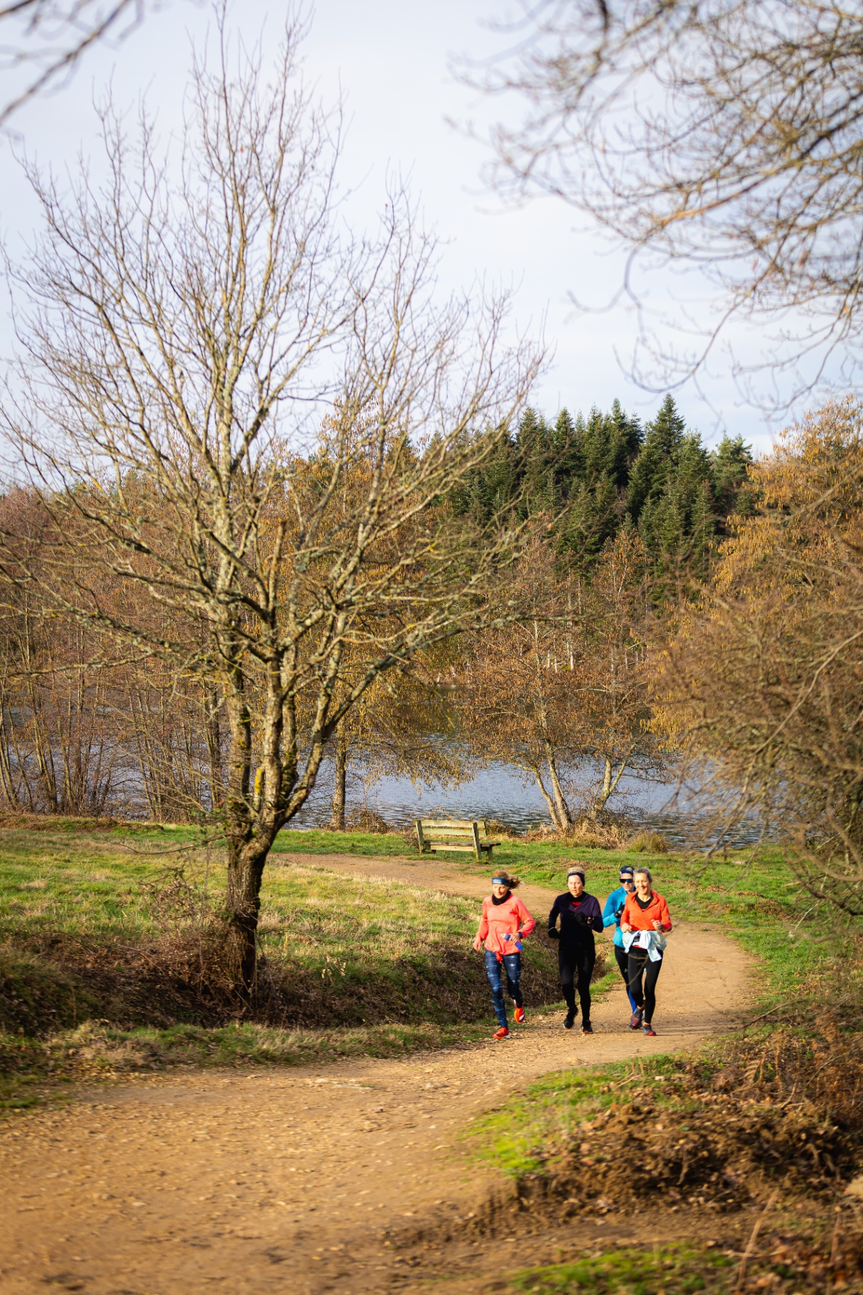 Trail au bord de l'étang