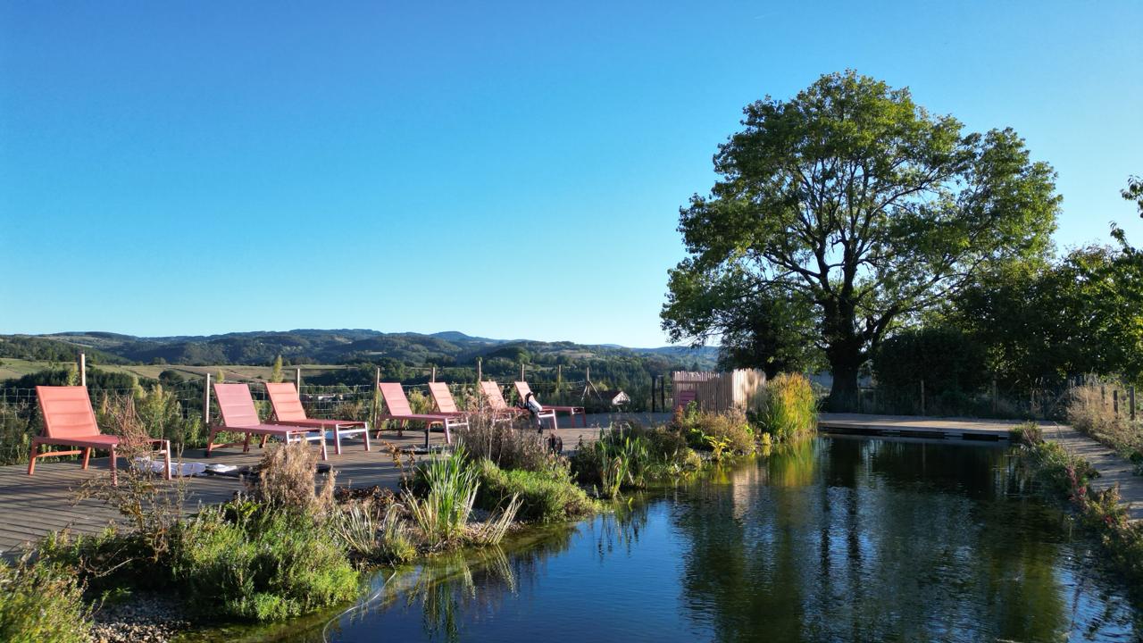Bassin naturel de nage de 25 mètres du Domaine du COQ en PAT, bordé d'une terrasse en bois et de transats, face aux collines du Livradois-Forez
